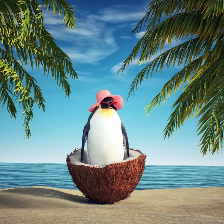 Ein Pinguin in einer Koskosnussschale an einem exotischen Strand mit Palmen